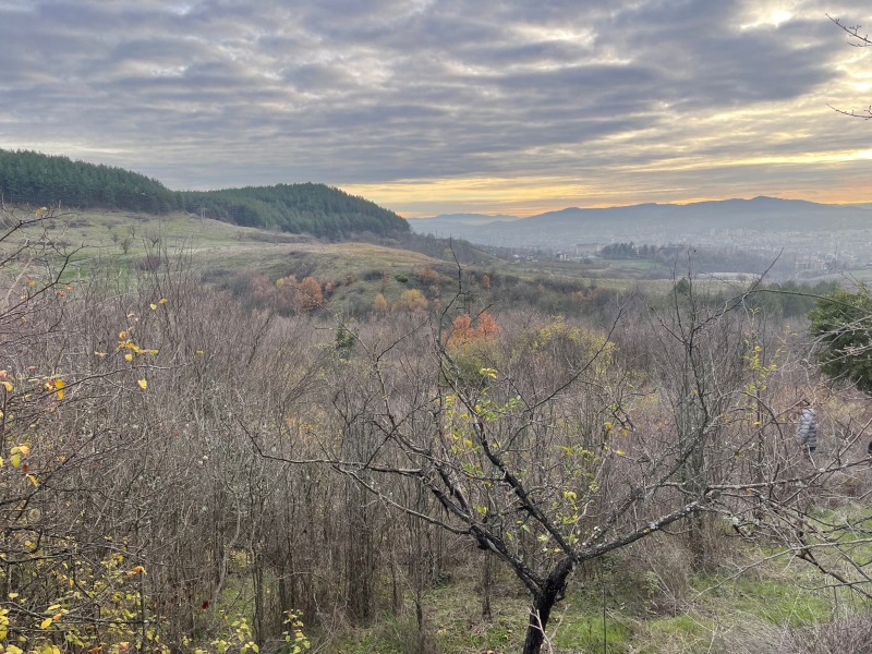 Продава ПАРЦЕЛ, с. Скърбино, област Кърджали, снимка 3 - Парцели - 52723454