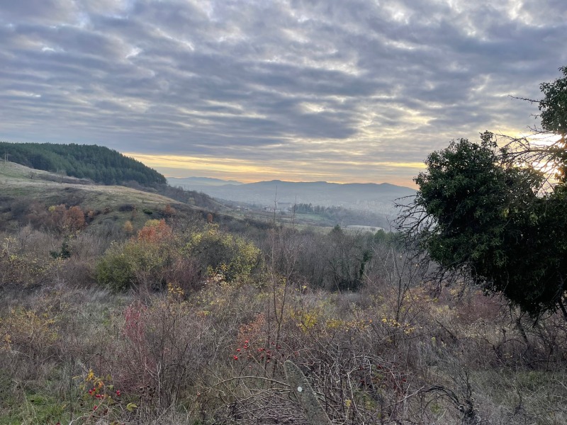 Продава ПАРЦЕЛ, с. Скърбино, област Кърджали, снимка 2 - Парцели - 52723454