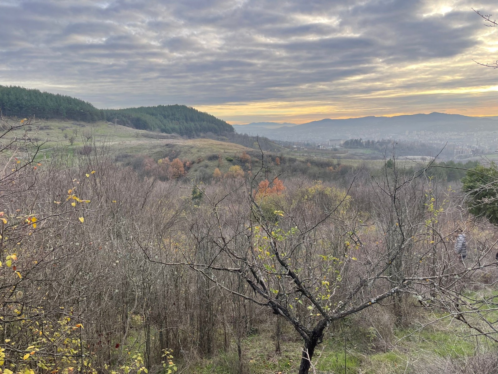 Продава ПАРЦЕЛ, с. Скърбино, област Кърджали, снимка 2 - Парцели - 53311668