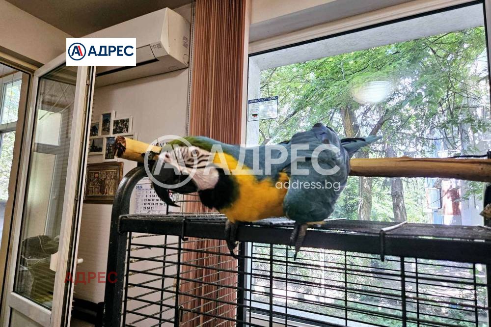 ������� ���������� | Imot.bg � ����������� 5