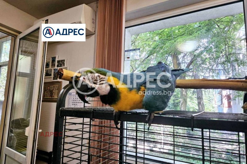 Продава МНОГОСТАЕН, гр. Варна, ВИНС-Червен площад, снимка 5 - Апартаменти - 52811358