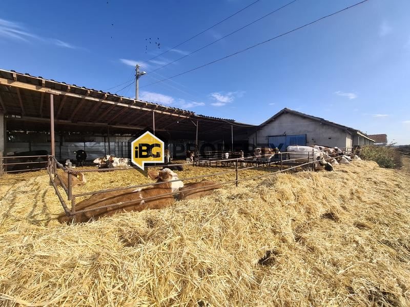 ������� ����� | Imot.bg � ����������� 4