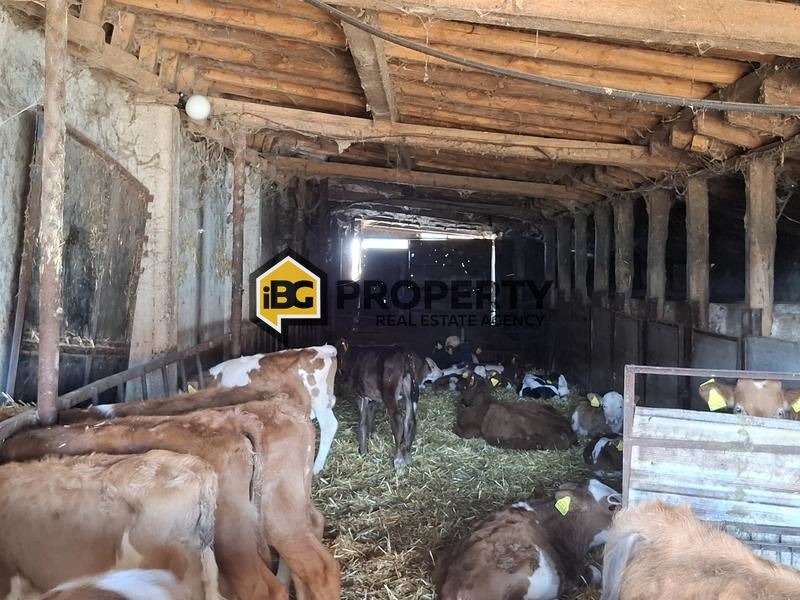 Продава БИЗНЕС ИМОТ, гр. Стралджа, област Ямбол, снимка 11 - Други - 53993557