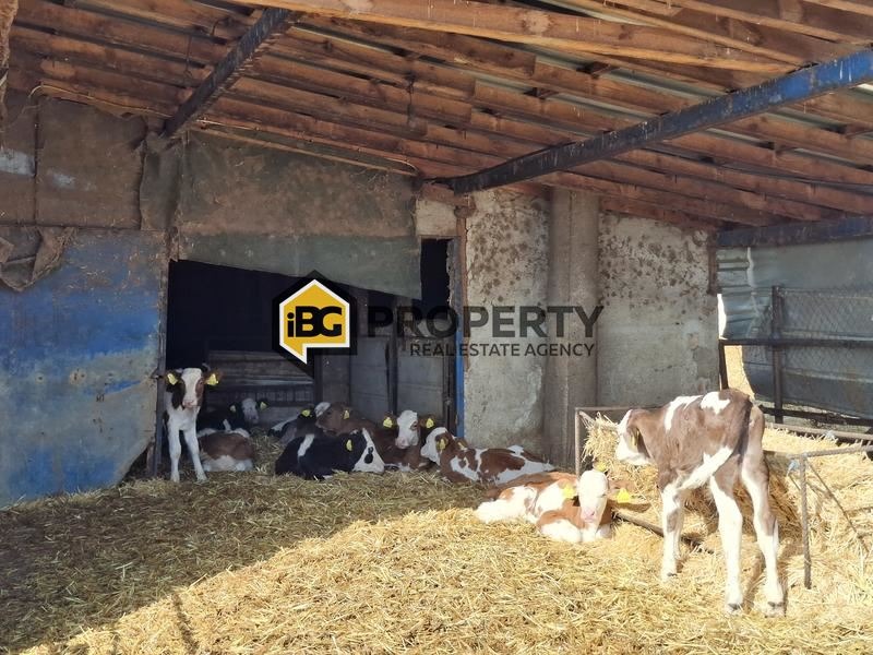 Продава БИЗНЕС ИМОТ, гр. Стралджа, област Ямбол, снимка 10 - Други - 53993557