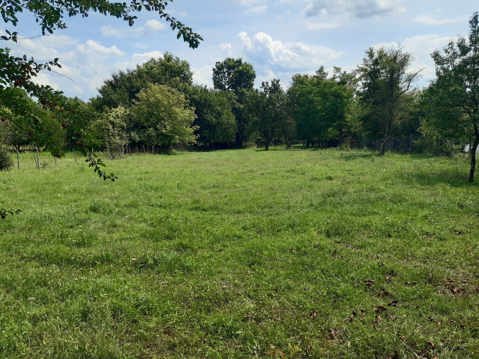 Продава ПАРЦЕЛ, с. Равнище, област София област, снимка 3 - Парцели - 54322024