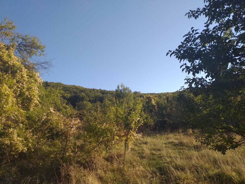 Продава ПАРЦЕЛ | Imot.bg — изображение 3