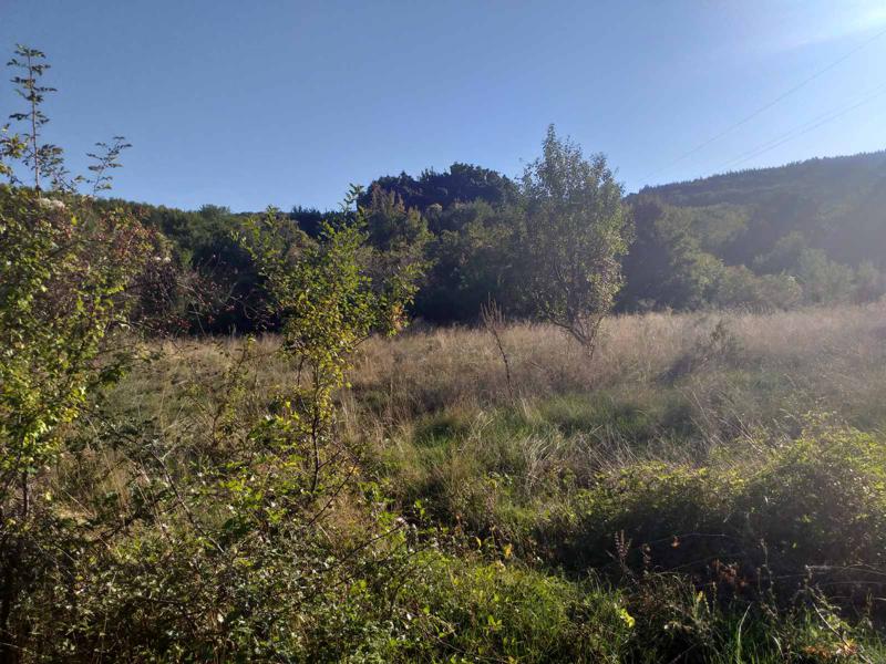 Продава ПАРЦЕЛ | Imot.bg — изображение 4