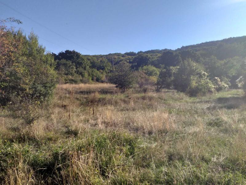 Продава ПАРЦЕЛ | Imot.bg — изображение 5