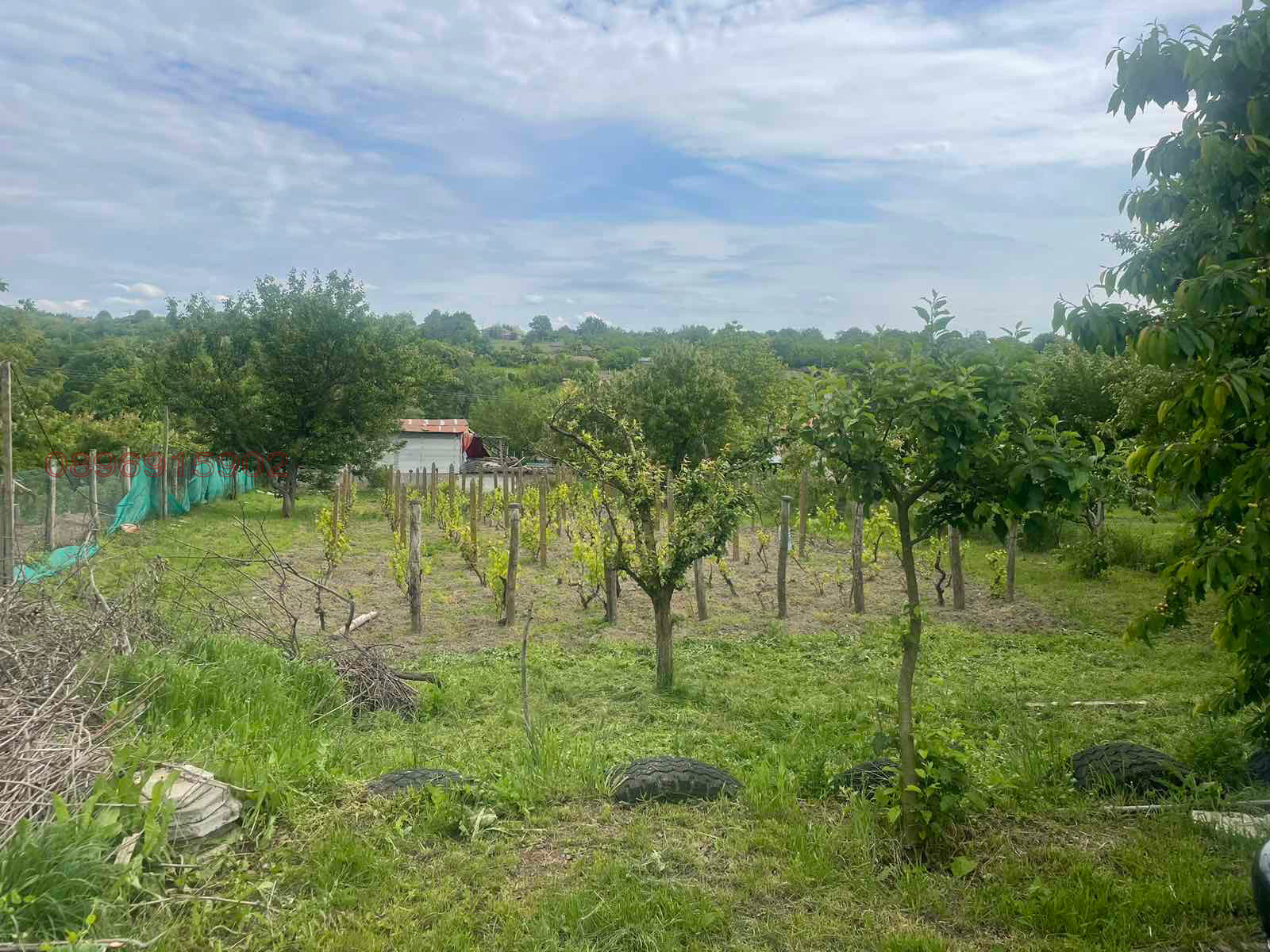 ������� ������ | Imot.bg � ����������� 2