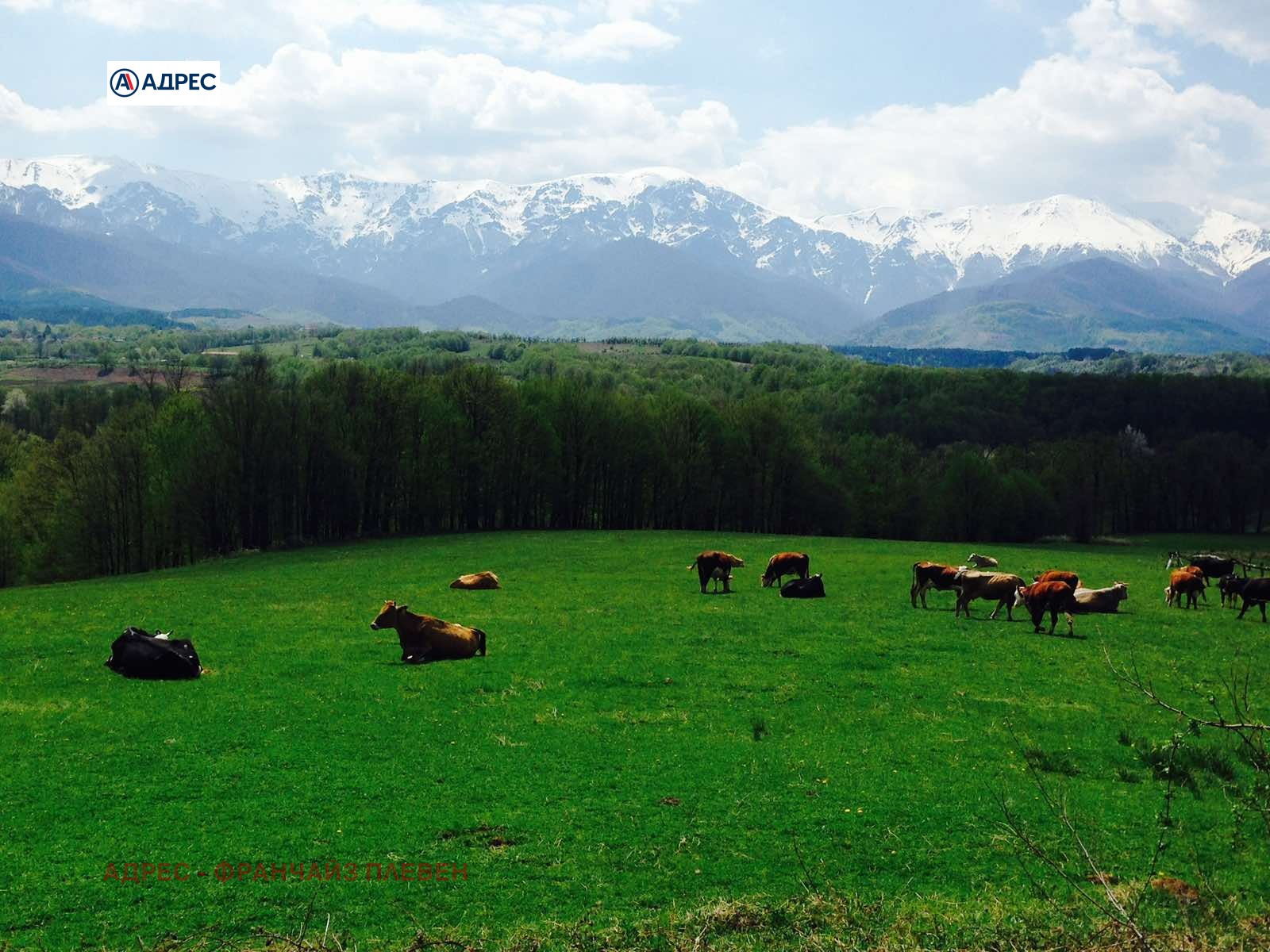 ������� ������ | Imot.bg � ����������� 1