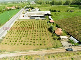 ������� ������ | Imot.bg � ����� ������ 7