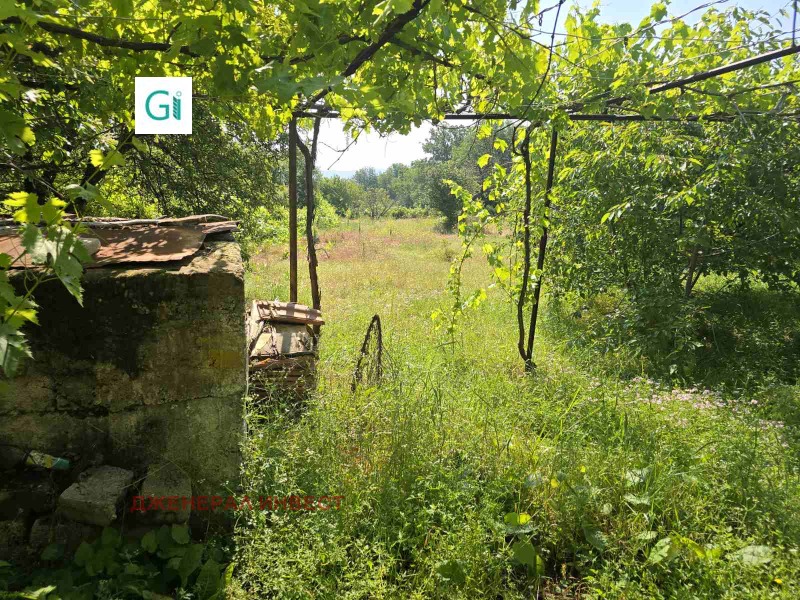Na prodej  Dům oblast Blagoevgrad , Leško , 56 m2 | 61064909 - obraz [7]