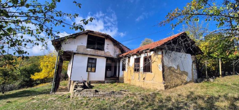 Продава КЪЩА, гр. Трявна, област Габрово, снимка 7 - Къщи - 52128969