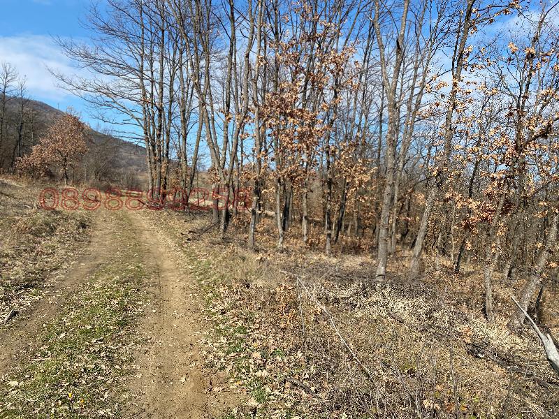 Продава ПАРЦЕЛ, гр. Роман, област Враца, снимка 6 - Парцели - 52785807