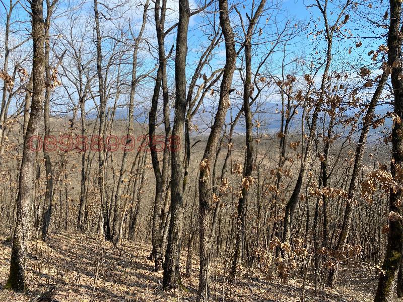 Продава ПАРЦЕЛ, гр. Роман, област Враца, снимка 4 - Парцели - 52785807