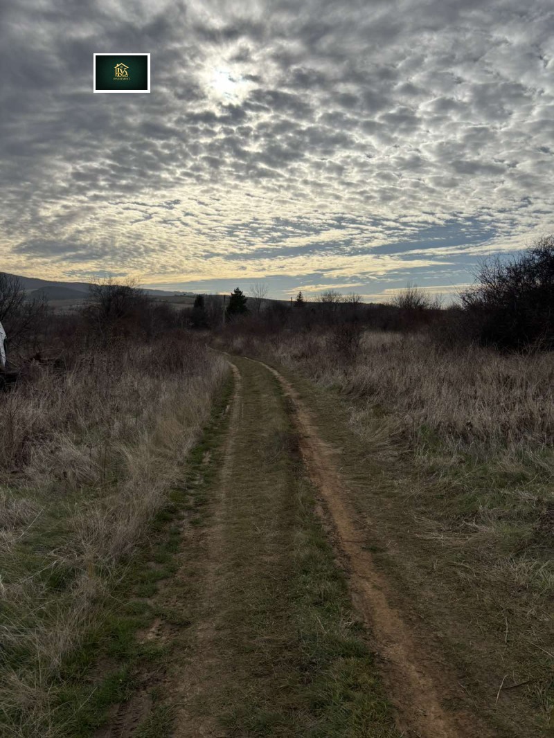 Продава ПАРЦЕЛ, с. Горна Диканя, област Перник, снимка 5 - Парцели - 52777928