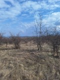 Продава ПАРЦЕЛ, гр. София, гр. Банкя, снимка 2