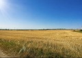 Продава ПАРЦЕЛ, с. Българево, област Добрич, снимка 2