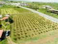 Продава ПАРЦЕЛ, Извън страната, област Извън страната, снимка 10