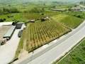 Продава  Парцел Гърция , Иматия , 5000 кв.м | 14193688 - изображение [9]