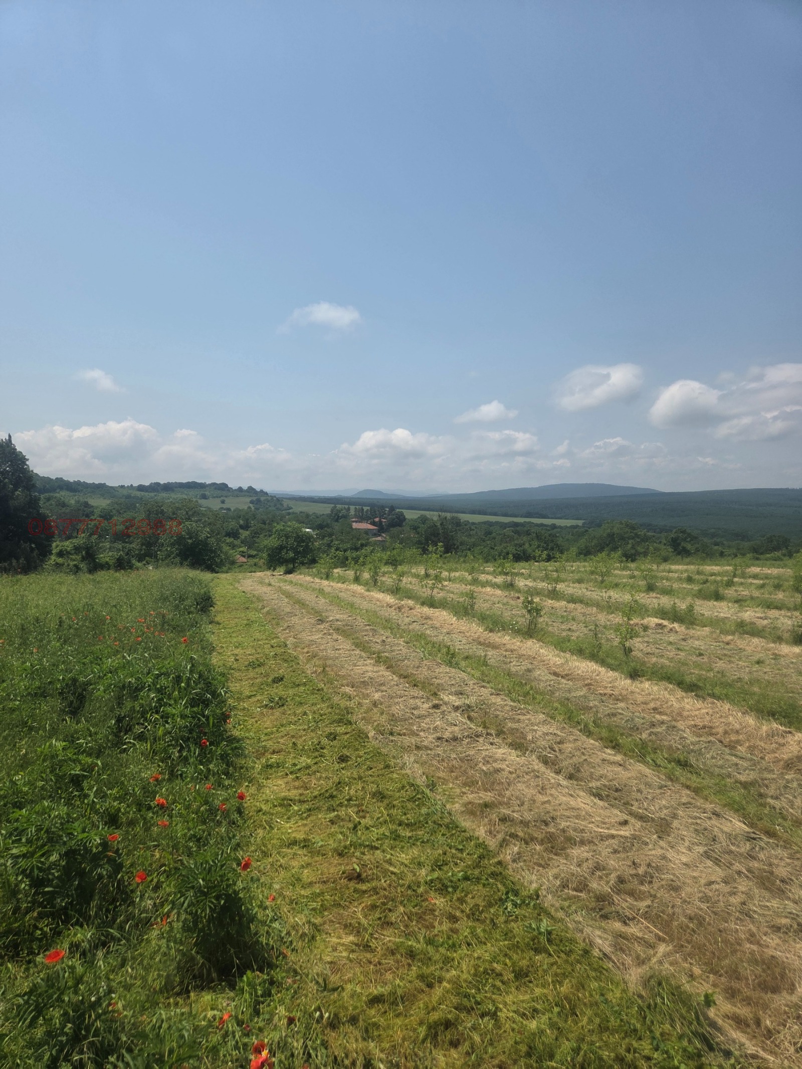 ������� ������ | Imot.bg � ����������� 2