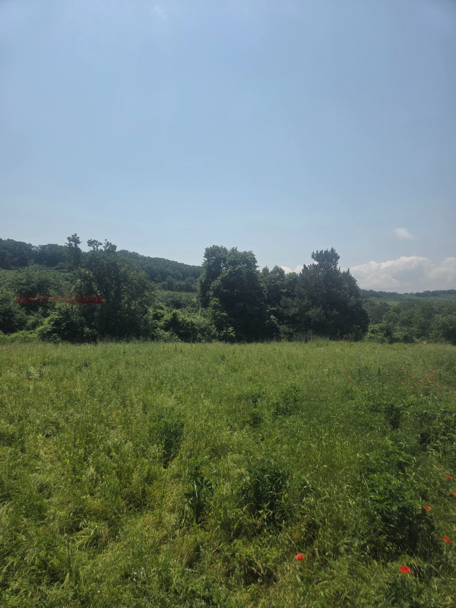������� ������ | Imot.bg � ����������� 6
