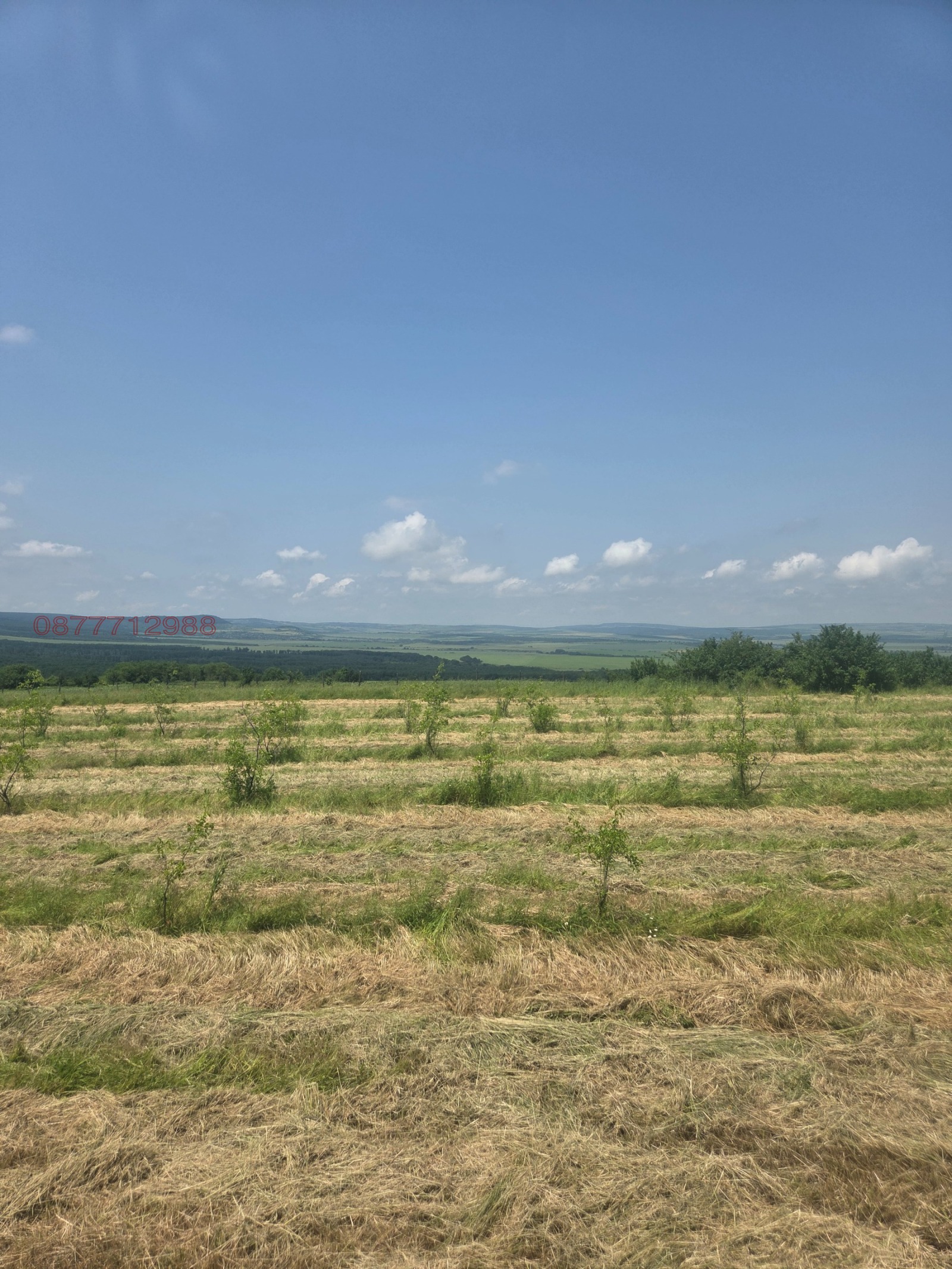 ������� ������ | Imot.bg � ����������� 3