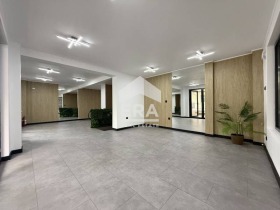 ����� ������� �������,���� �����, �������