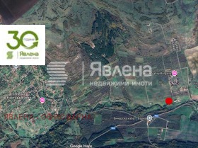 ����� ������� ������,�. ������� ������������, ������ �����