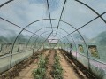 Продава КЪЩА, област Русе, с. Ценово • 28500 € • 72992810 — Holmes.bg