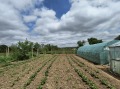 Продава КЪЩА, област Русе, с. Ценово • 28500 € • 72992810 — Holmes.bg