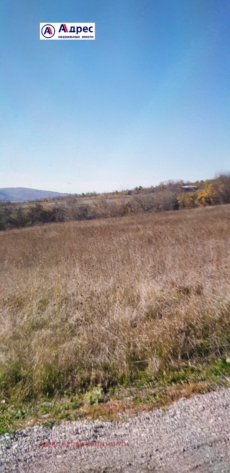 ������� ������ | Imot.bg � ����������� 1