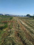 Продава  Парцел област Пловдив , с. Стряма , 3600 кв.м | 31508738 - изображение [4]