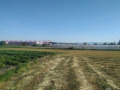 Продава  Парцел област Пловдив , с. Стряма , 3600 кв.м | 31508738 - изображение [2]