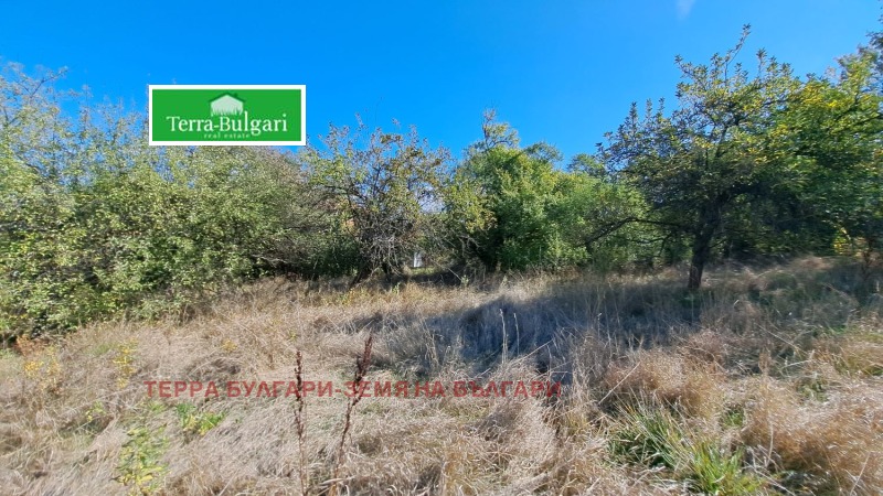 Продава ПАРЦЕЛ в област Перник, с. Витановци - 590 кв.м / При запитване, ТЕРРА БУЛГАРИ-ЗЕМЯ НА БЪЛГАРИ