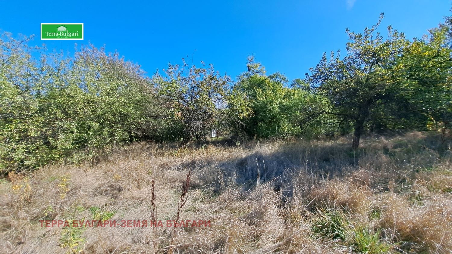 Продава ПАРЦЕЛ | Imot.bg — изображение 1