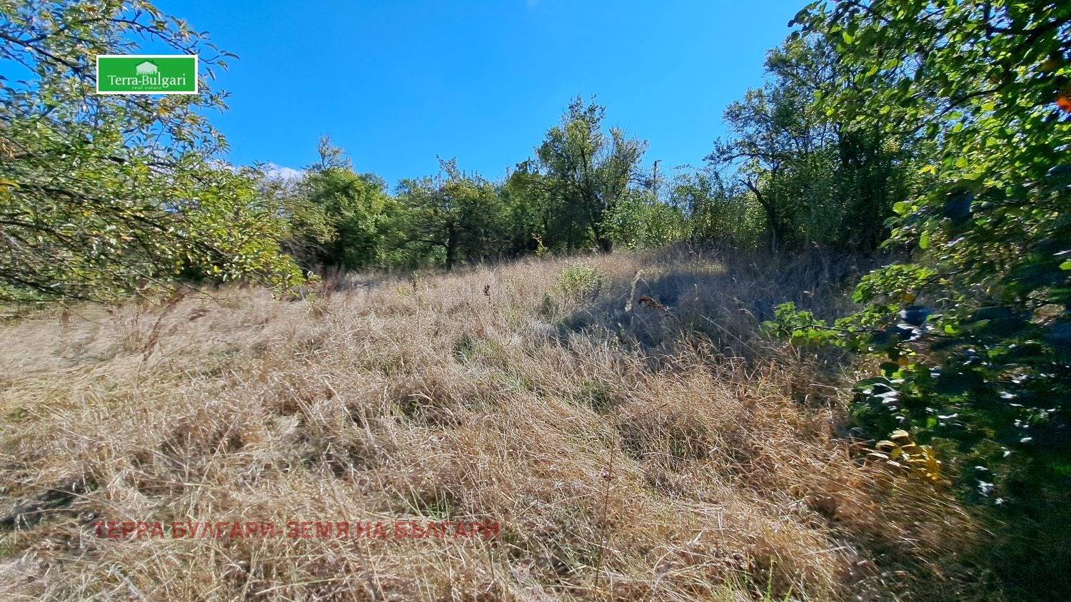 Продава ПАРЦЕЛ | Imot.bg — изображение 4