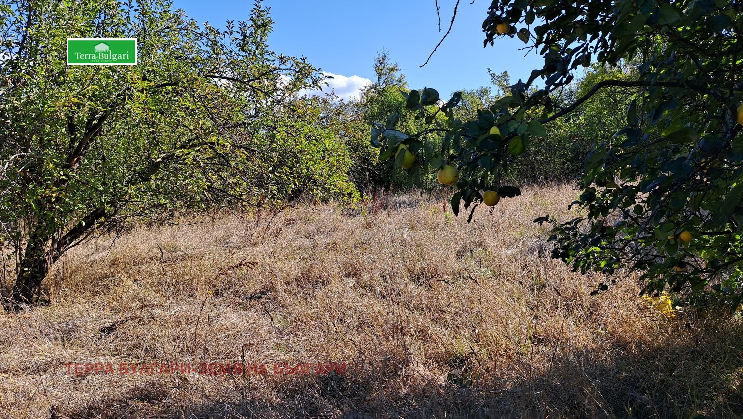 Продава ПАРЦЕЛ | Imot.bg — изображение 2