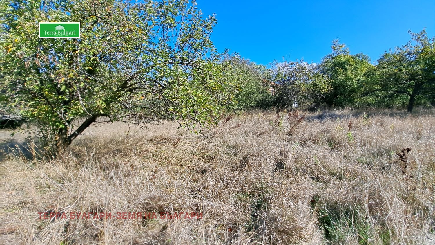 Продава ПАРЦЕЛ | Imot.bg — изображение 5