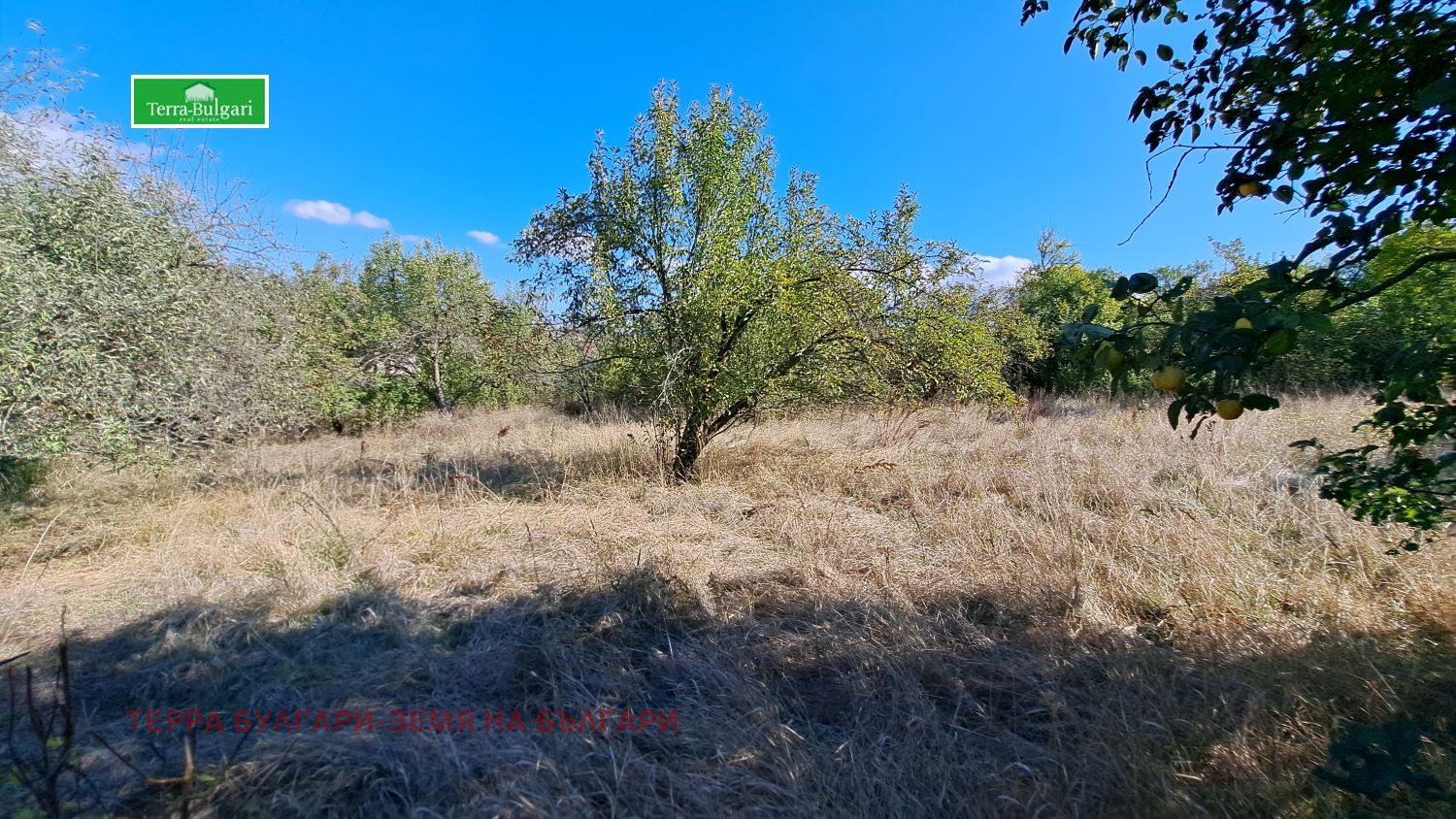 Продава ПАРЦЕЛ | Imot.bg — изображение 3