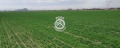 Продава ПАРЦЕЛ, гр. Пловдив, Коматево, снимка 2