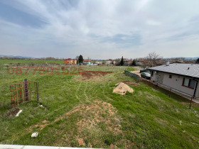 ����� ������� ������,���� �����, ����������