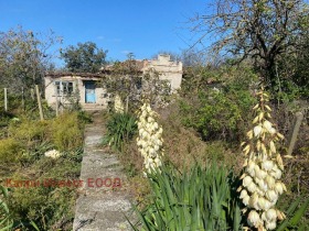 Hus Durankulak, region Dobrich 7