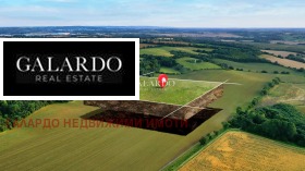 ����� ������� ������,���� �����, �����