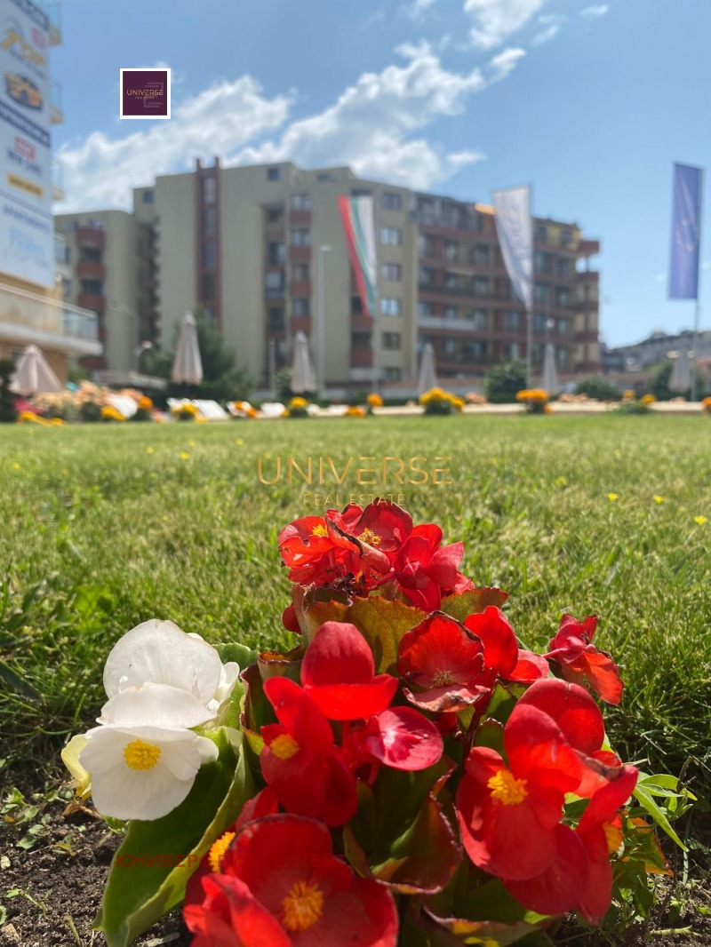 Продава  2-стаен област Бургас , к.к. Слънчев бряг , 82 кв.м | 86527742 - изображение [8]