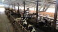 Продава ПРОМ. ПОМЕЩЕНИЕ, с. Пчеларово, област Кърджали, снимка 15