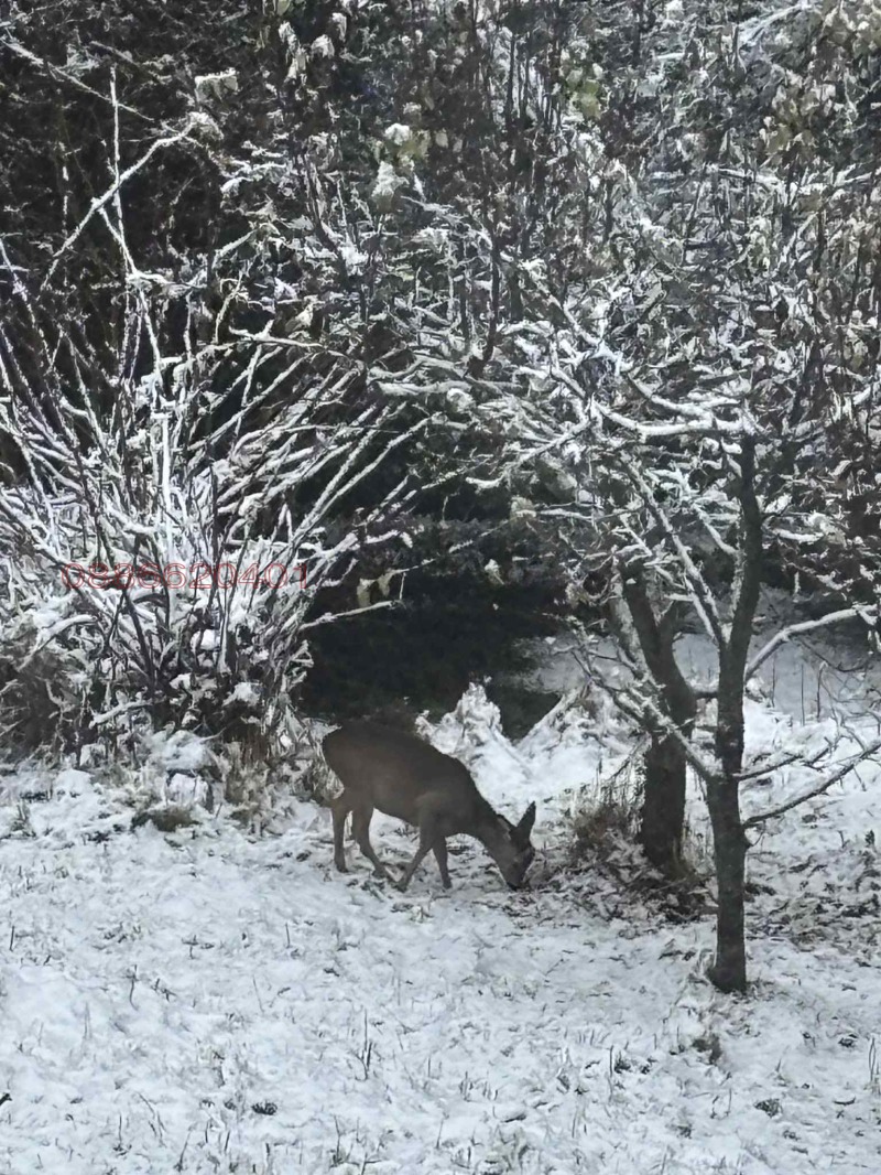 Продава КЪЩА, с. Момчиловци, област Смолян, снимка 15 - Къщи - 52781785