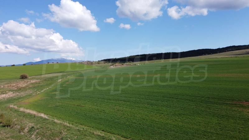 Продава ПАРЦЕЛ | Imot.bg — изображение 12