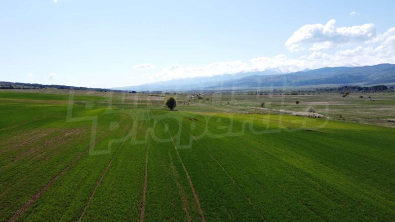 Продава ПАРЦЕЛ | Imot.bg — изображение 7