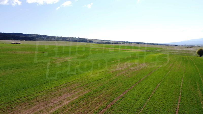 Продава ПАРЦЕЛ | Imot.bg — изображение 8